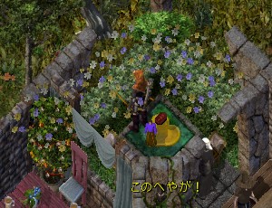 左奥の花